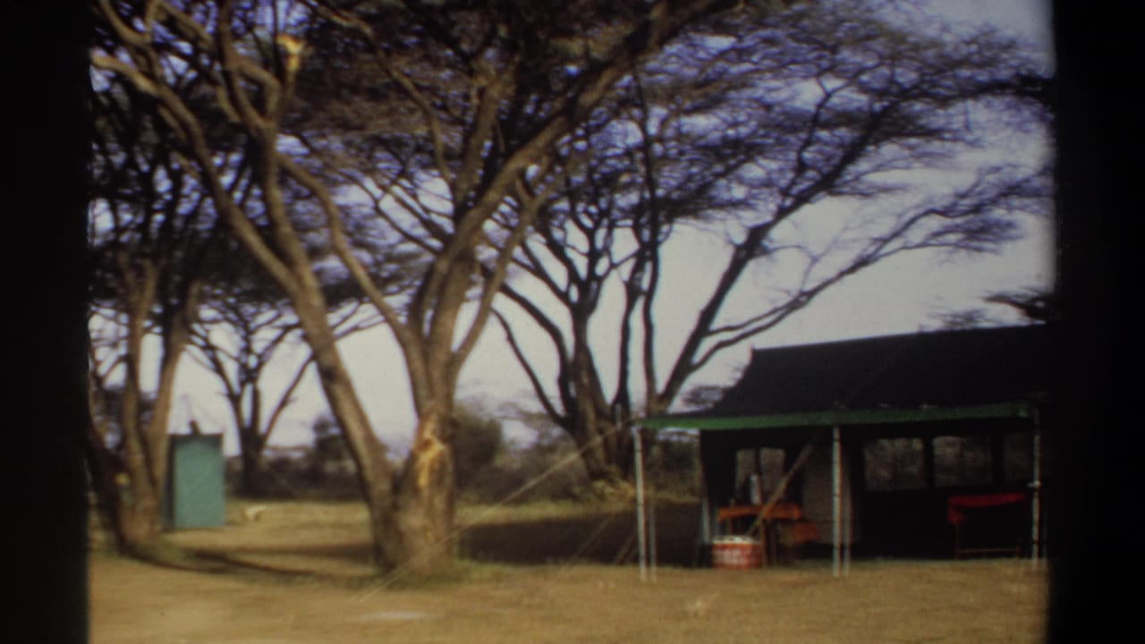 Camp tent beside trees with a green portable structure and tables visible.