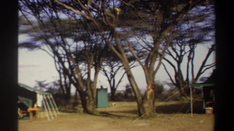 1969 Khartoum, Sudan home-movie view across a dry camp area with trees, tent poles, furniture and a green portable structure.