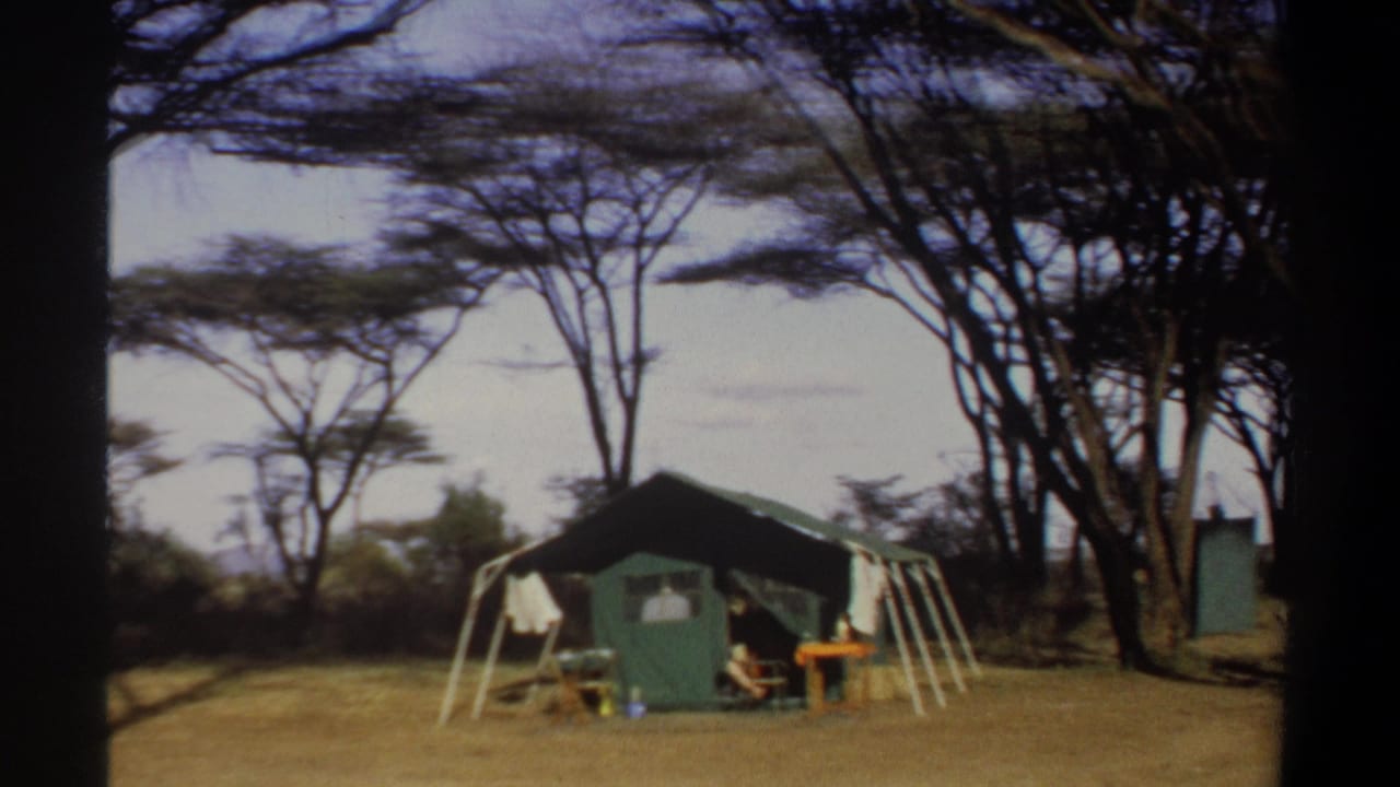 Green canvas tent among dry grass and tall flat-topped trees, with camp furniture partly visible.