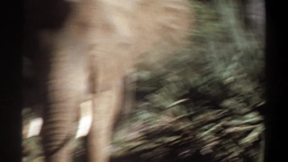 Motion-blurred 1969 Sudan 8mm frame of a tusked elephant passing close to the camera through scrub and dry grass.