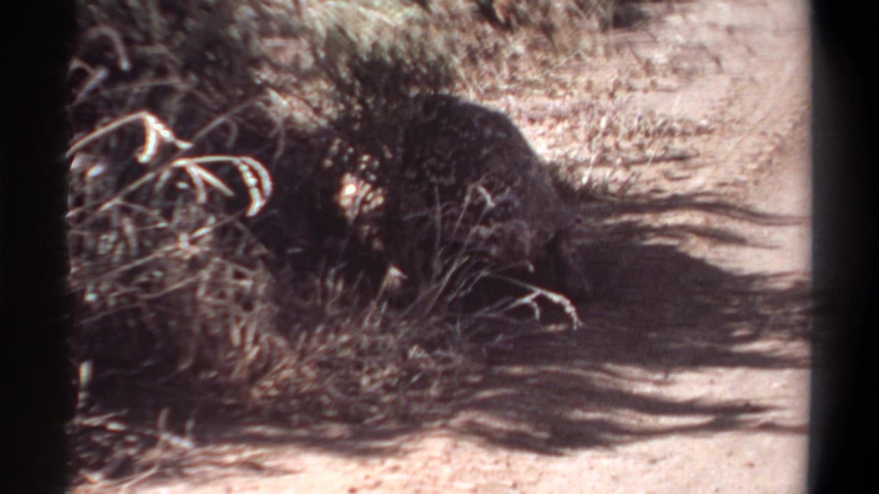Opening 8mm frame from the Khartoum reel showing a dusty ground area with dry vegetation and heavy shadow before the aircraft view.