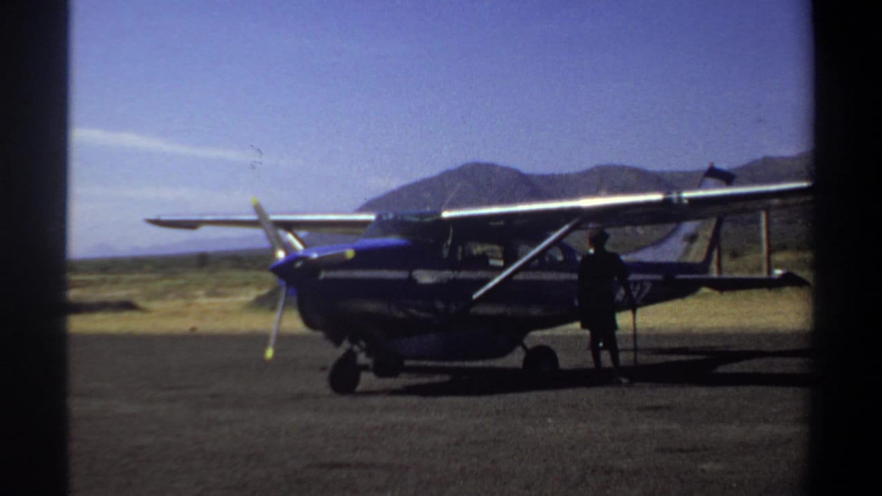 High-wing single-engine plane parked with a silhouetted person beside it.