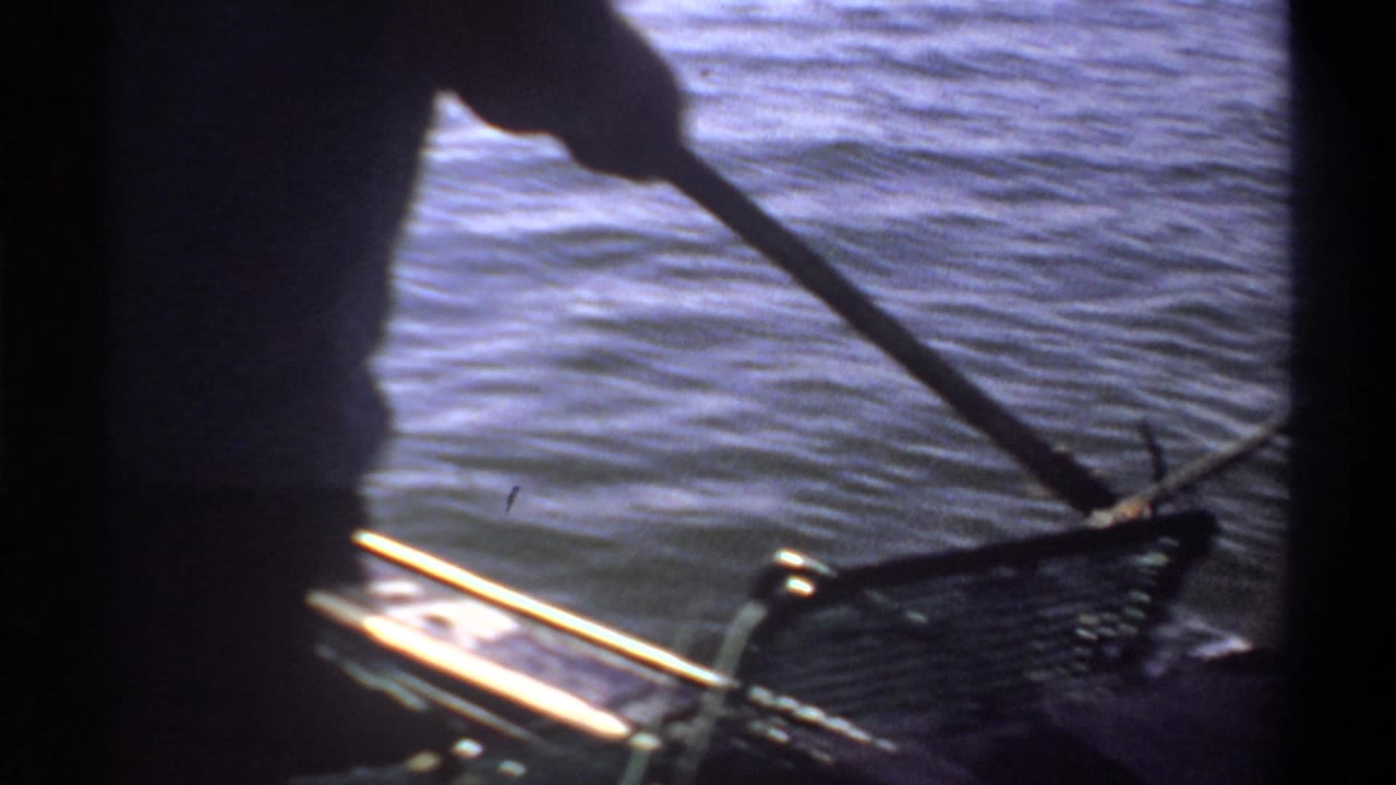 A standing figure handles a long pole or net beside rippled water.