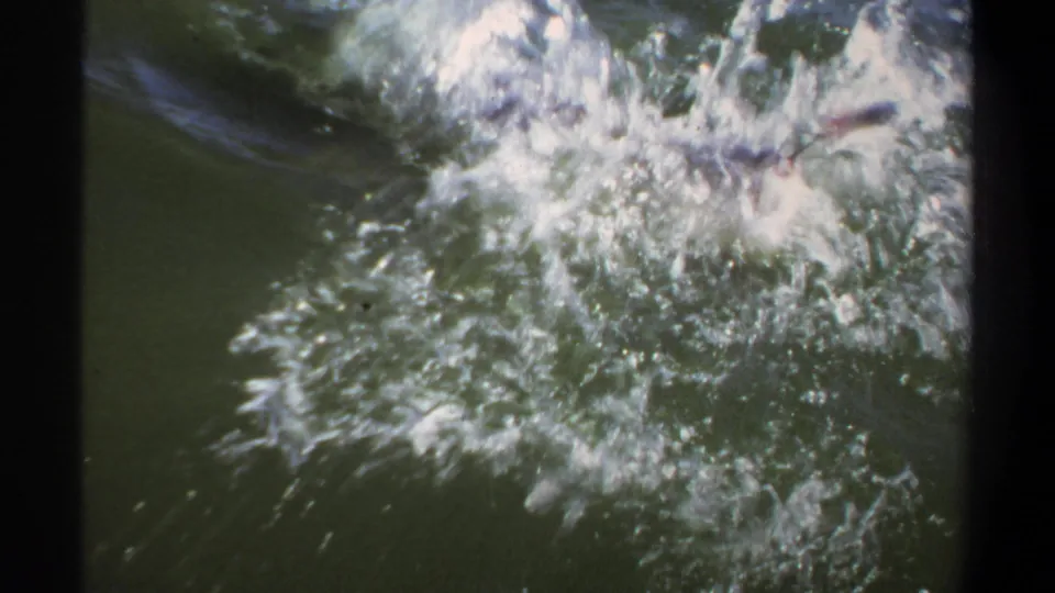 1969 Khartoum home-movie frame showing a large white splash in dark green water as the fish thrashes near the surface.
