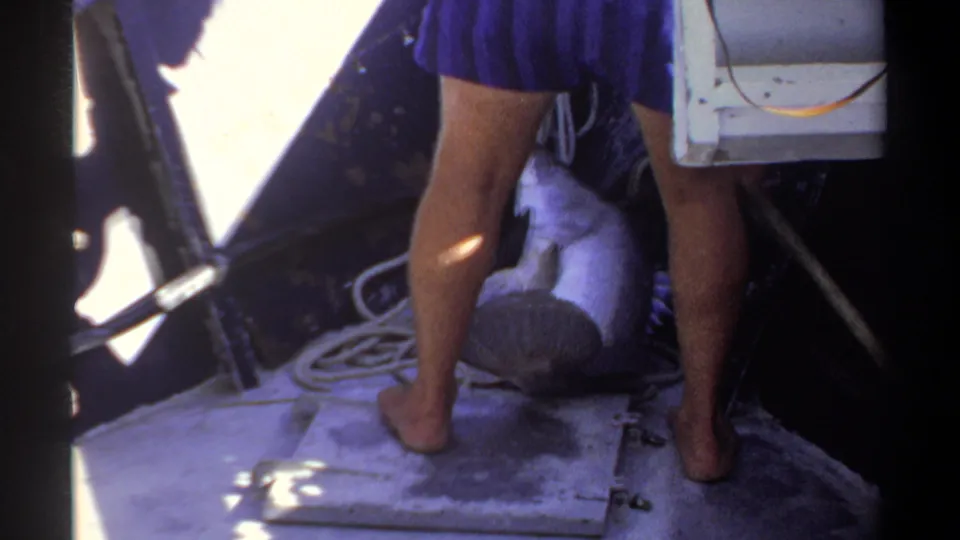 Bare-legged people stand on a small boat deck near rope, hardware, and a large fish visible at their feet.