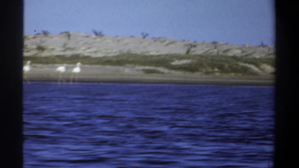 Late frame from the 1969 Khartoum clip with scattered pale birds on the far shoreline, blue water in the foreground, dunes, and sparse vegetation.