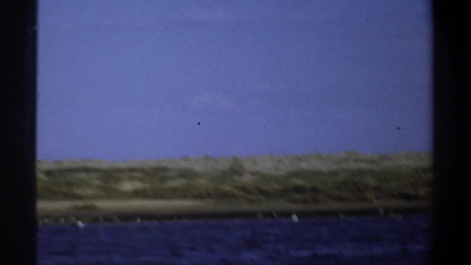1969 Khartoum, Sudan frame showing the shoreline after the flamingos move out of view, with blue water, scrub, dunes, and sky.