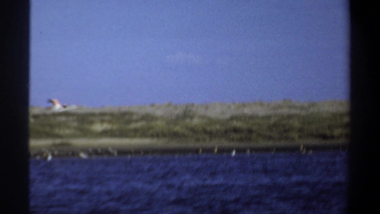 1969 Khartoum 8mm frame showing white birds over water with a low vegetated shoreline and pale blue sky.