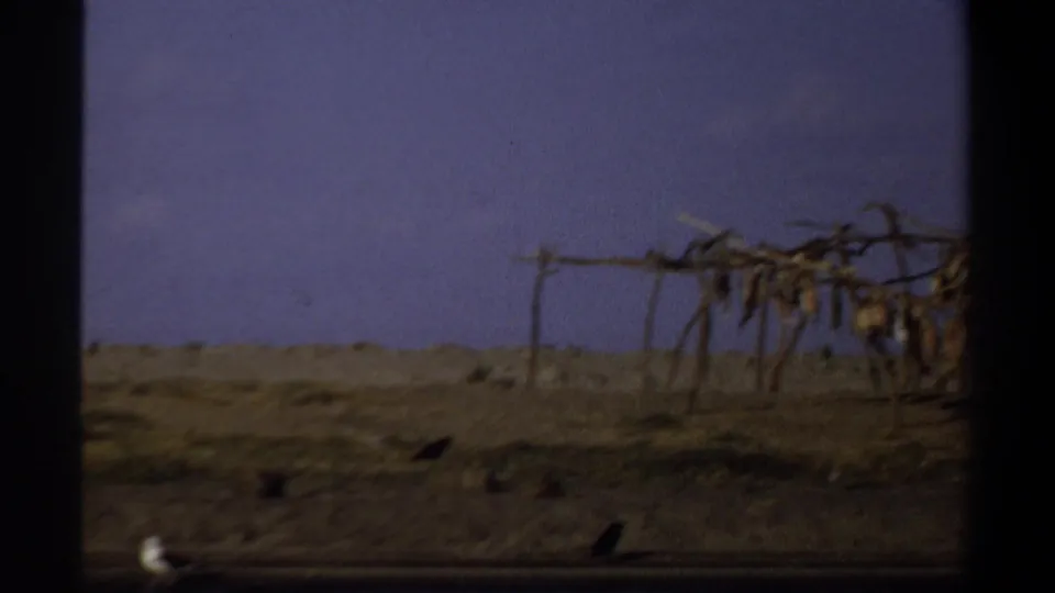 A dry Khartoum landscape appears below the blue sky, with a rough wooden rack or frame and birds near the ground.