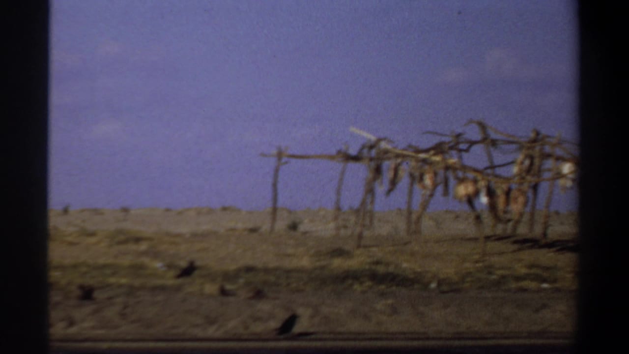 1969 Khartoum home-movie frame showing a wooden fish drying rack and thatched shelter on a sparse riverside bank.
