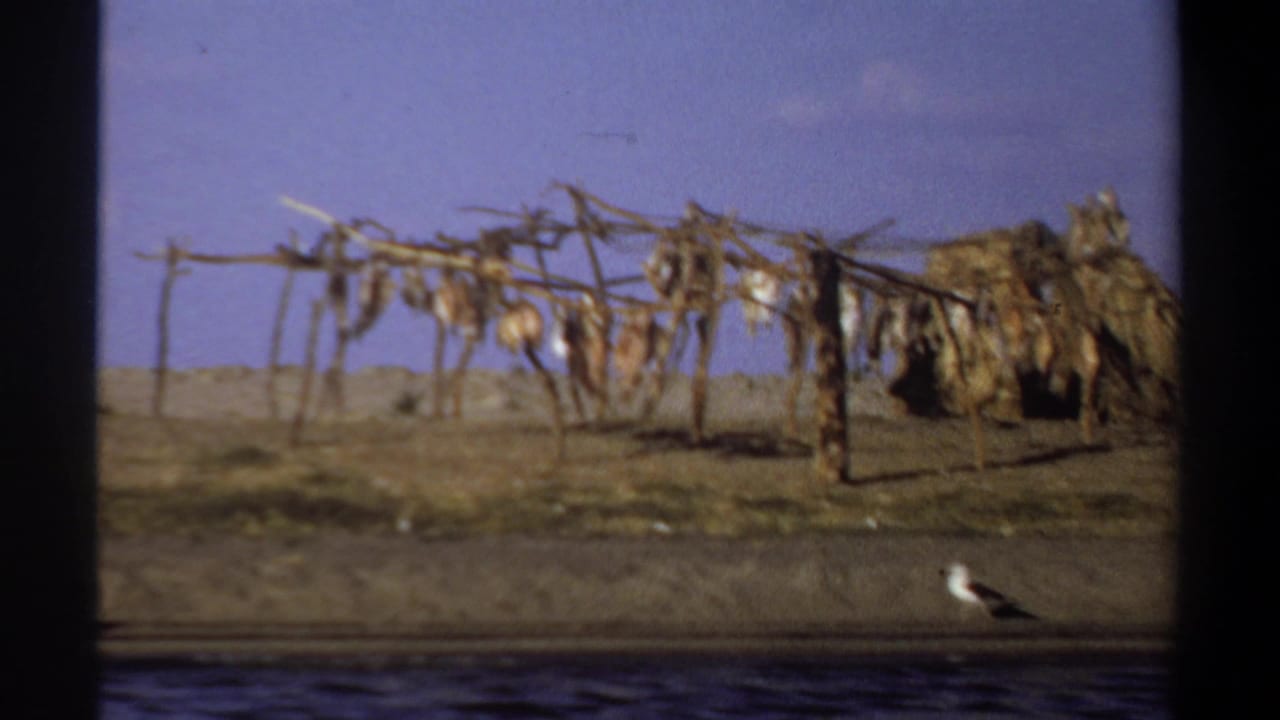 Thatched hut and drying rack near the water with a gull on the riverbank.