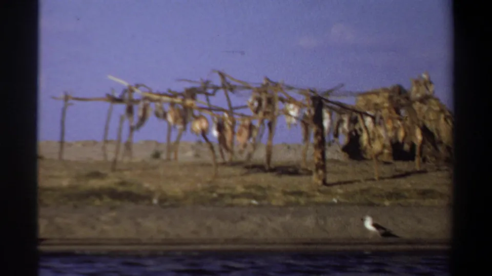 1969 Khartoum riverside scene with a thatched hut, wooden drying rack, hanging fish or nets, and a gull near the waterline.