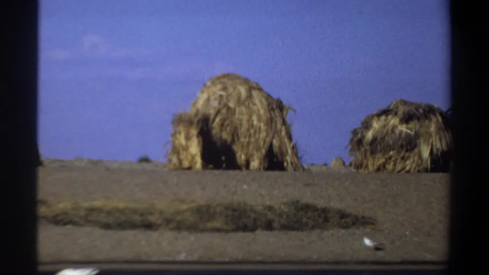 Thatched huts sit on dry ground near a dark foreground band in 1969 Khartoum home-movie footage.