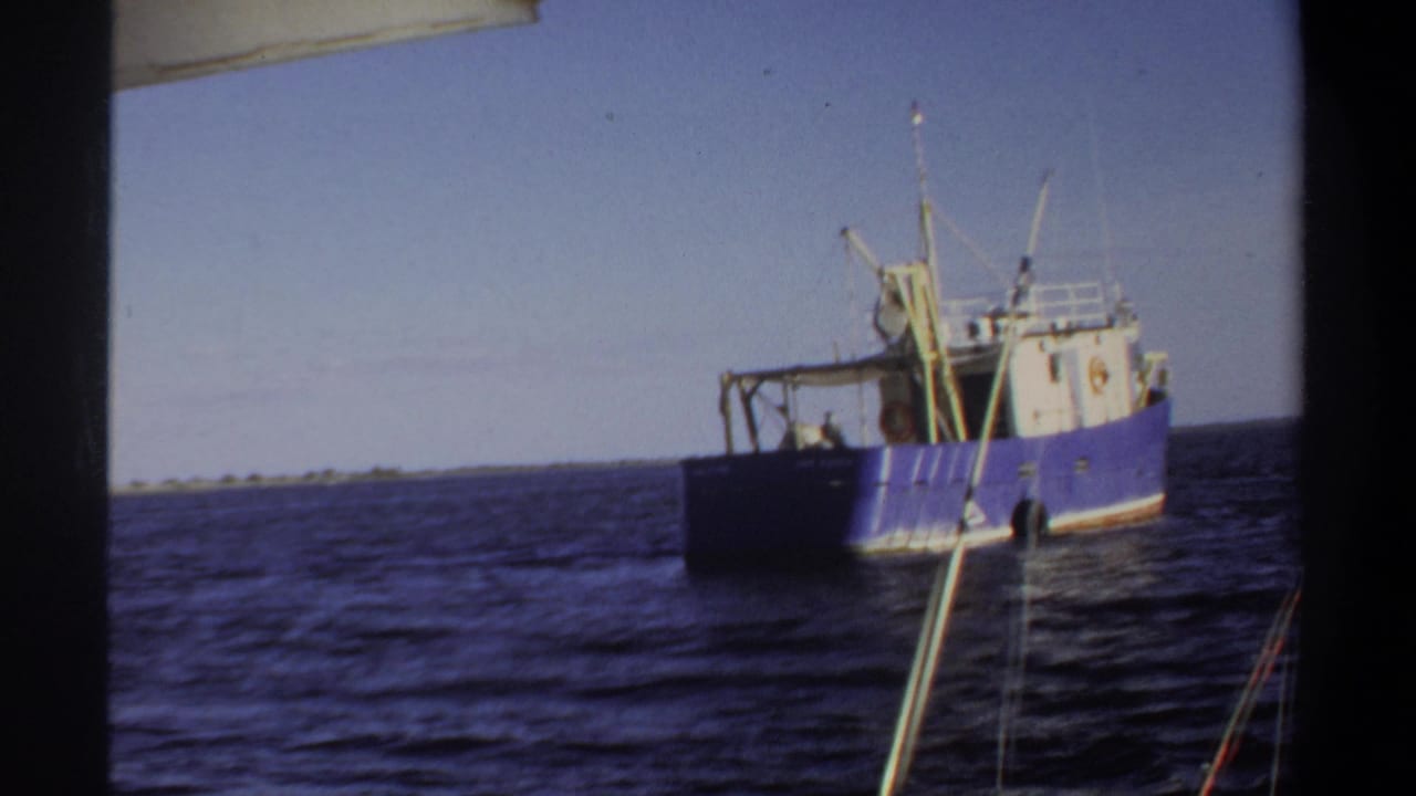 Blue and white fishing boat on open water with rods visible in the foreground.
