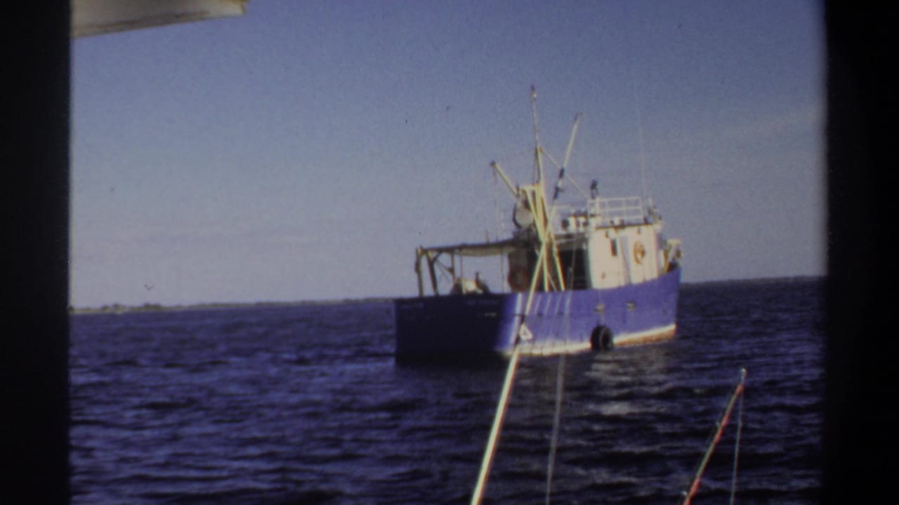 Fishing vessel on the sea with a low shoreline visible on the horizon.