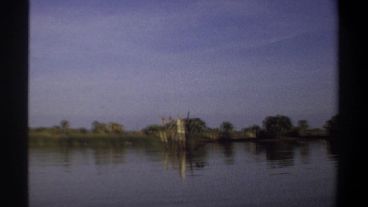 Wide river view with distant shoreline and clustered wooden posts in the water.