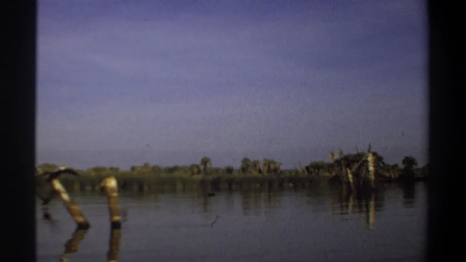 1969 Khartoum 8mm frame with leaning posts in the foreground water, distant greenery, and a pale blue sky.