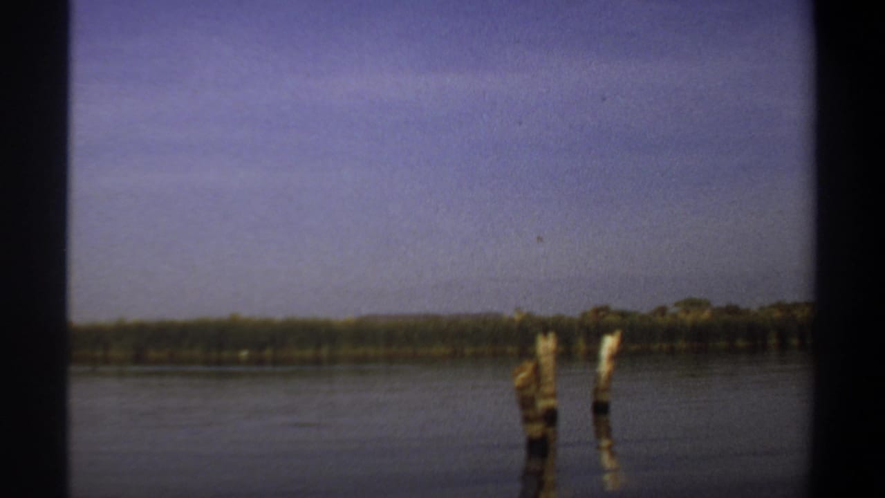 Wide river view with two wooden posts, distant vegetation, and pale sky.