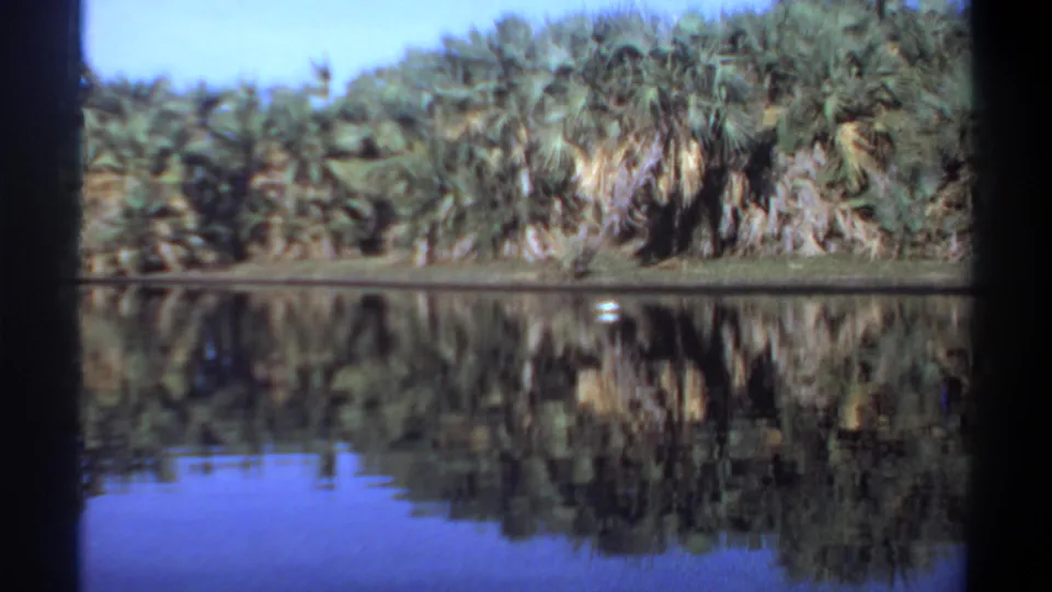 Wider 8mm view of a calm Khartoum lakeside scene, showing palm-like vegetation, blue sky, reflected shoreline, and a small white bird.