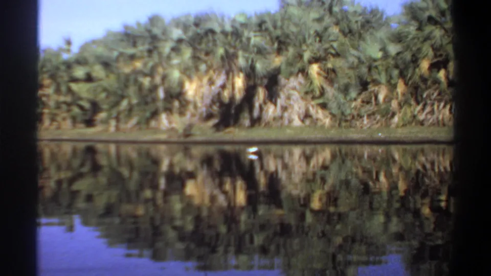1969 Khartoum 8mm frame of a palm-covered bank reflected in still blue water, with a small white bird at the waterline.