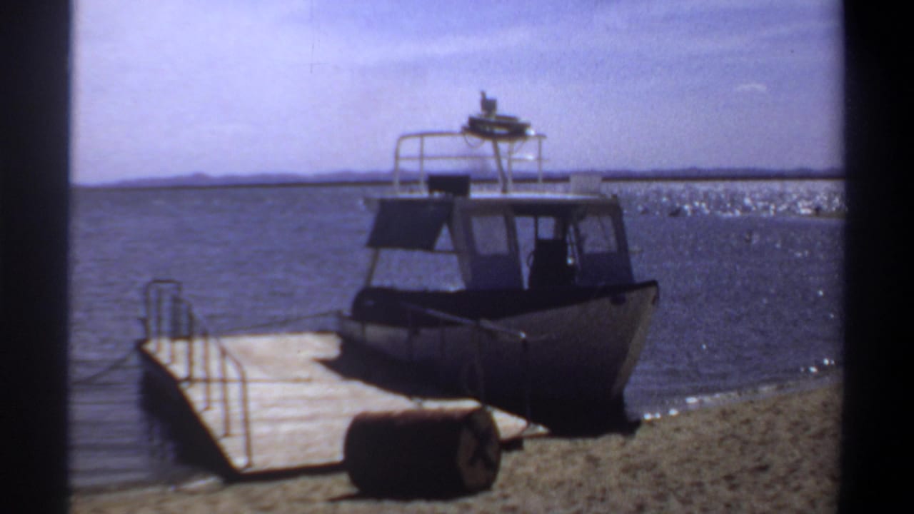 Cabin motorboat at the shoreline with a wooden dock extending into the water.