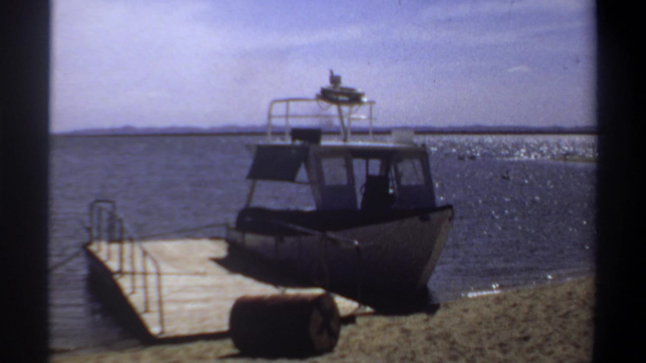White cabin powerboat beside a wooden dock on a sandy shoreline.