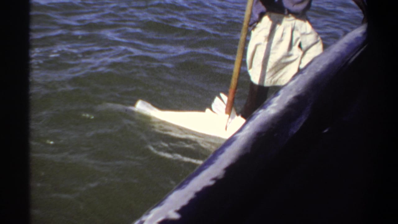 1969 Khartoum home-movie frame showing a partial boat view, rippled water, a standing figure, and a pale fish near the side.