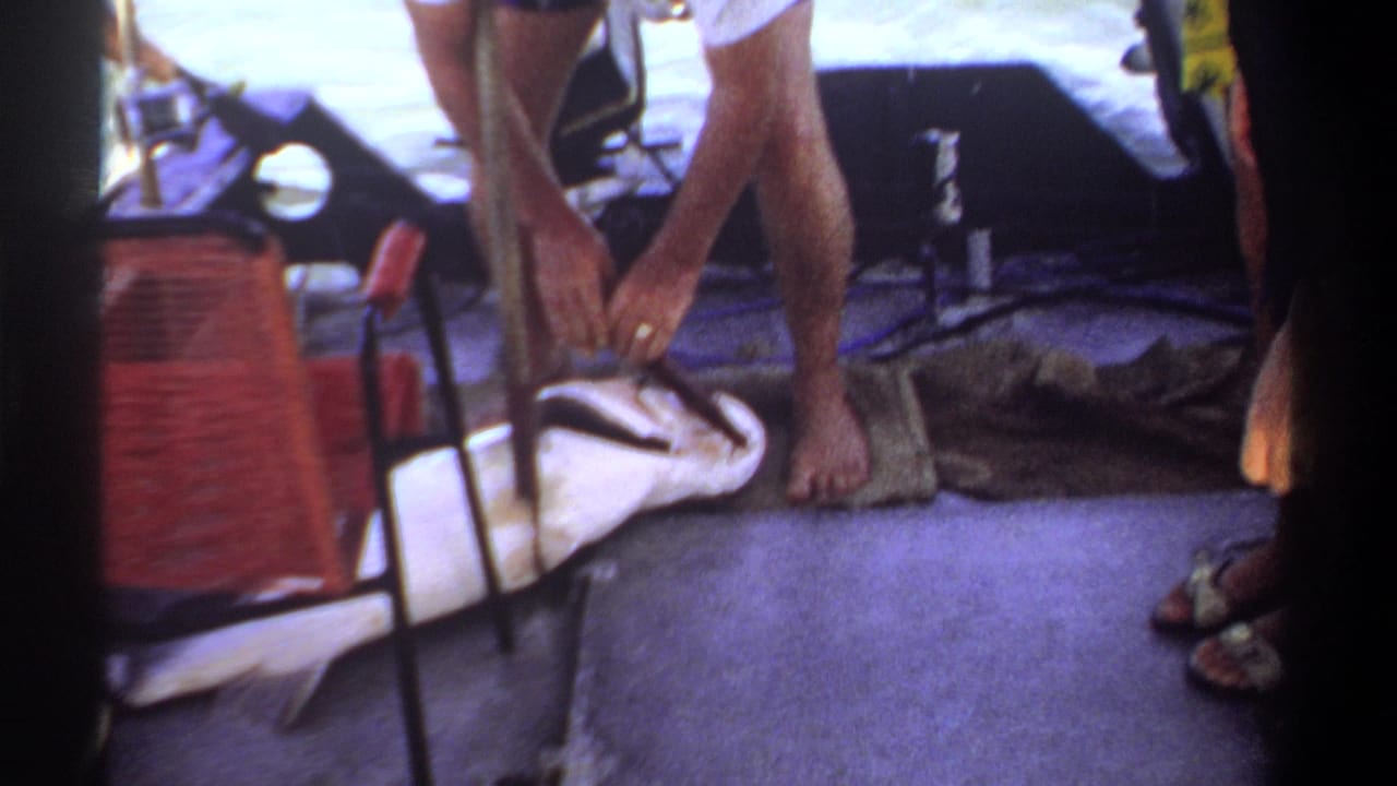 On a boat in the 1969 Khartoum footage, a barefoot adult bends toward a large fish lying on the deck.