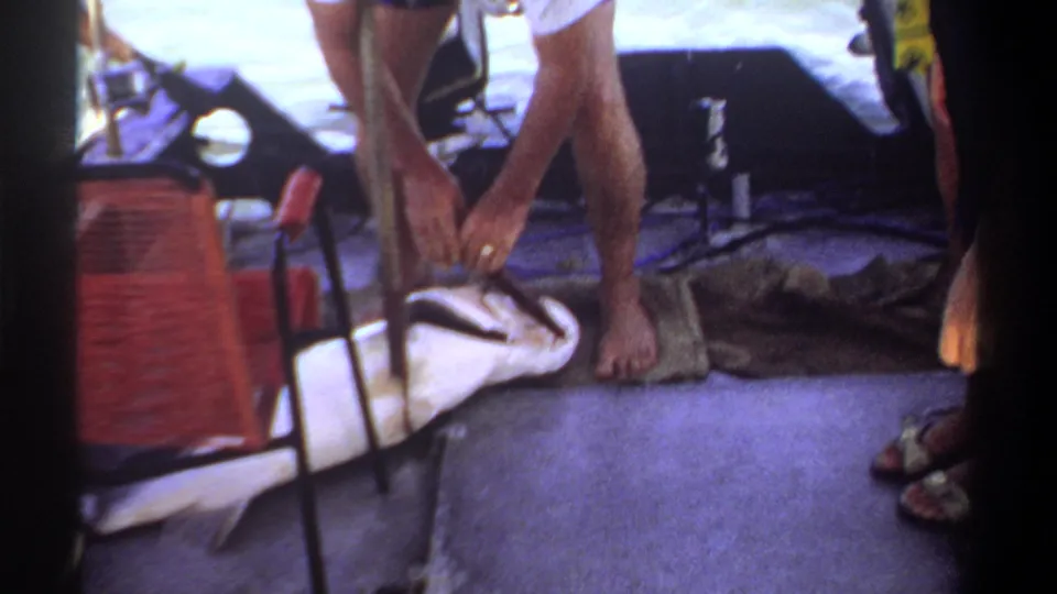 On a boat in the 1969 Khartoum footage, a barefoot adult bends toward a large fish lying on the deck.