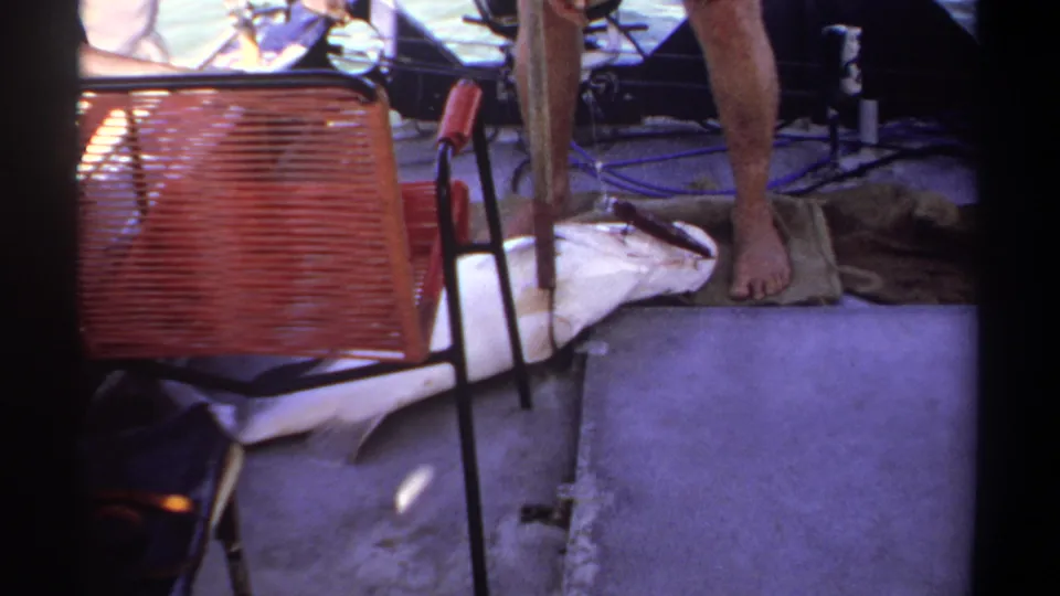 1969 Khartoum fishing-boat frame showing a large fish on deck beside a red woven chair, bare feet, cloth, and boat hardware.
