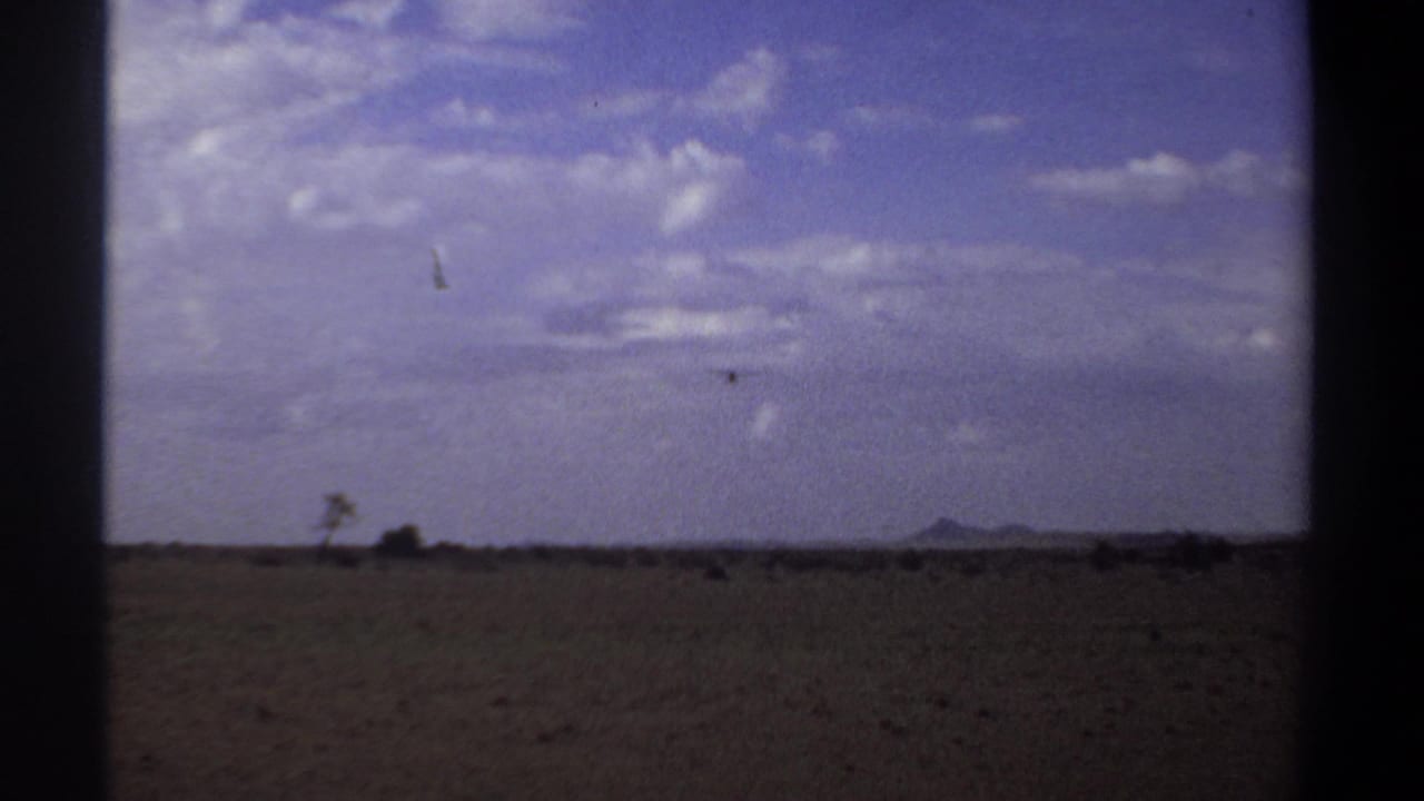 1969 Khartoum home-movie frame showing a small bird over a wide arid field with sparse vegetation and distant low hills.