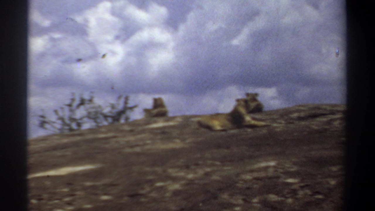 1969 Sudan 8mm frame showing lions lying on a rocky hillside under bright clouds, filmed from a distance.