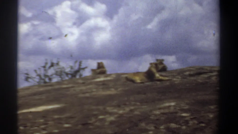 1969 Sudan 8mm frame showing lions lying on a rocky hillside under bright clouds, filmed from a distance.