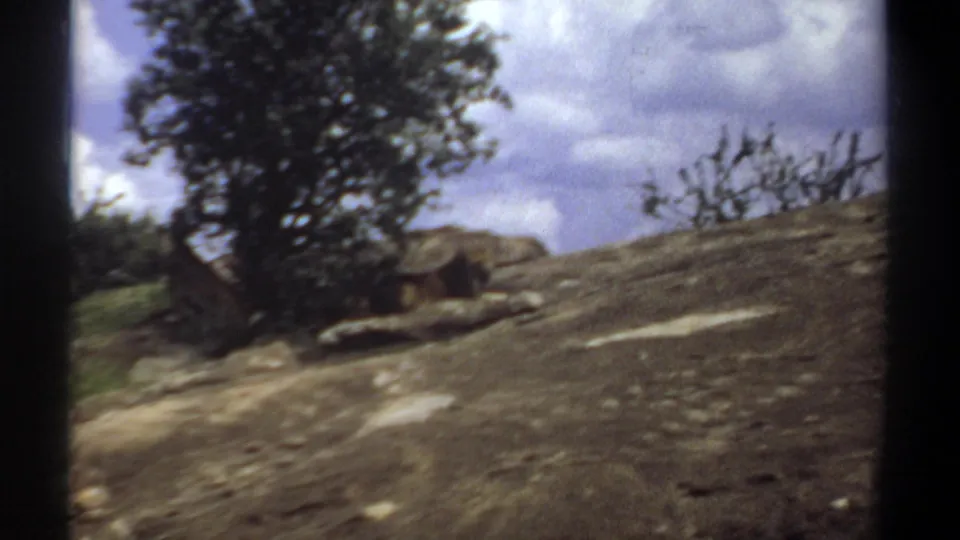 1969 Khartoum, Sudan home-movie frame with a lion near a tree on sloped stone terrain and scrub.