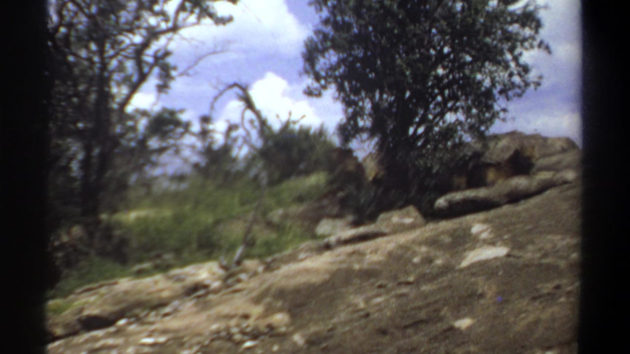 1969 Sudan 8mm frame showing a rocky hillside with a large tree and partially obscured lions resting in shade near the rocks.