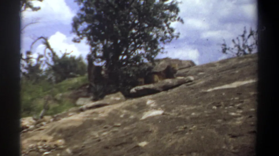 1969 Sudan 8mm frame showing the rocky hillside from a slightly shifted angle, with lions partly obscured below the tree.