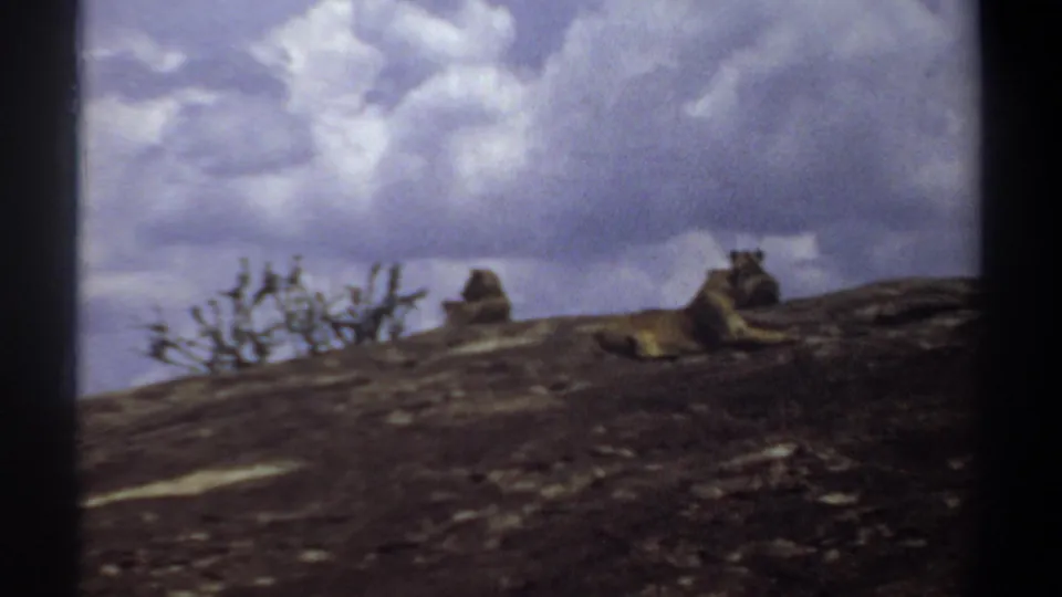 1969 Sudan 8mm frame showing lions resting on a rocky hill under a dramatic cloudy sky.