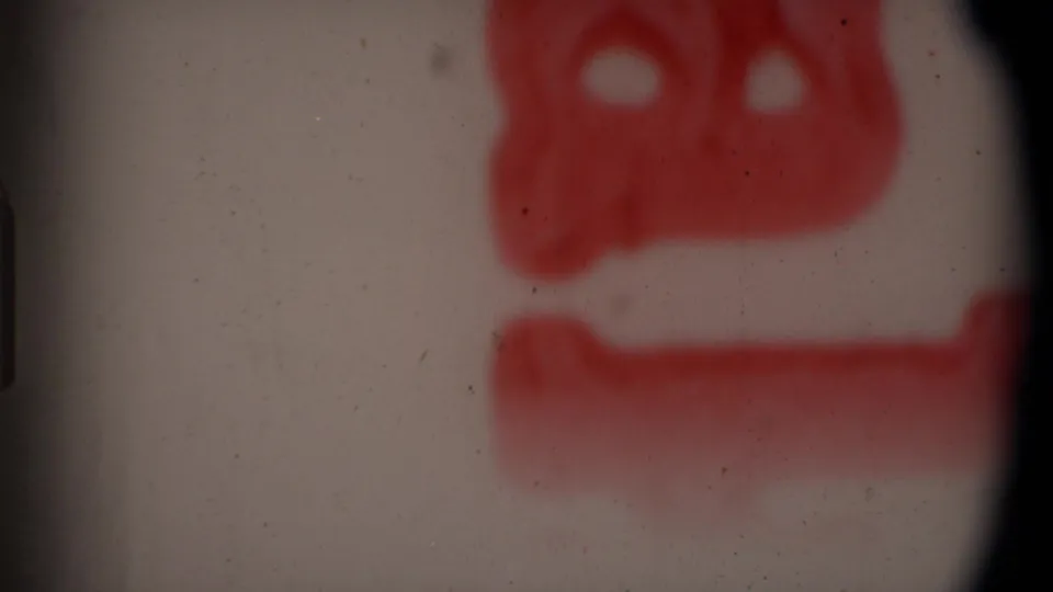 End frame showing a soft, red film or lab marking rather than the leopard, with dust and gate shadow visible.