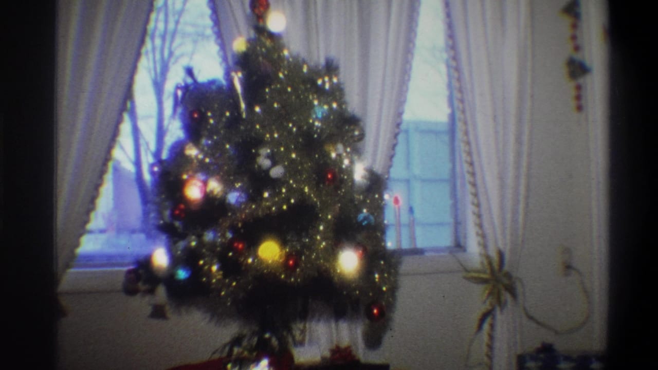 Decorated Christmas tree with glowing lights in front of curtained window.