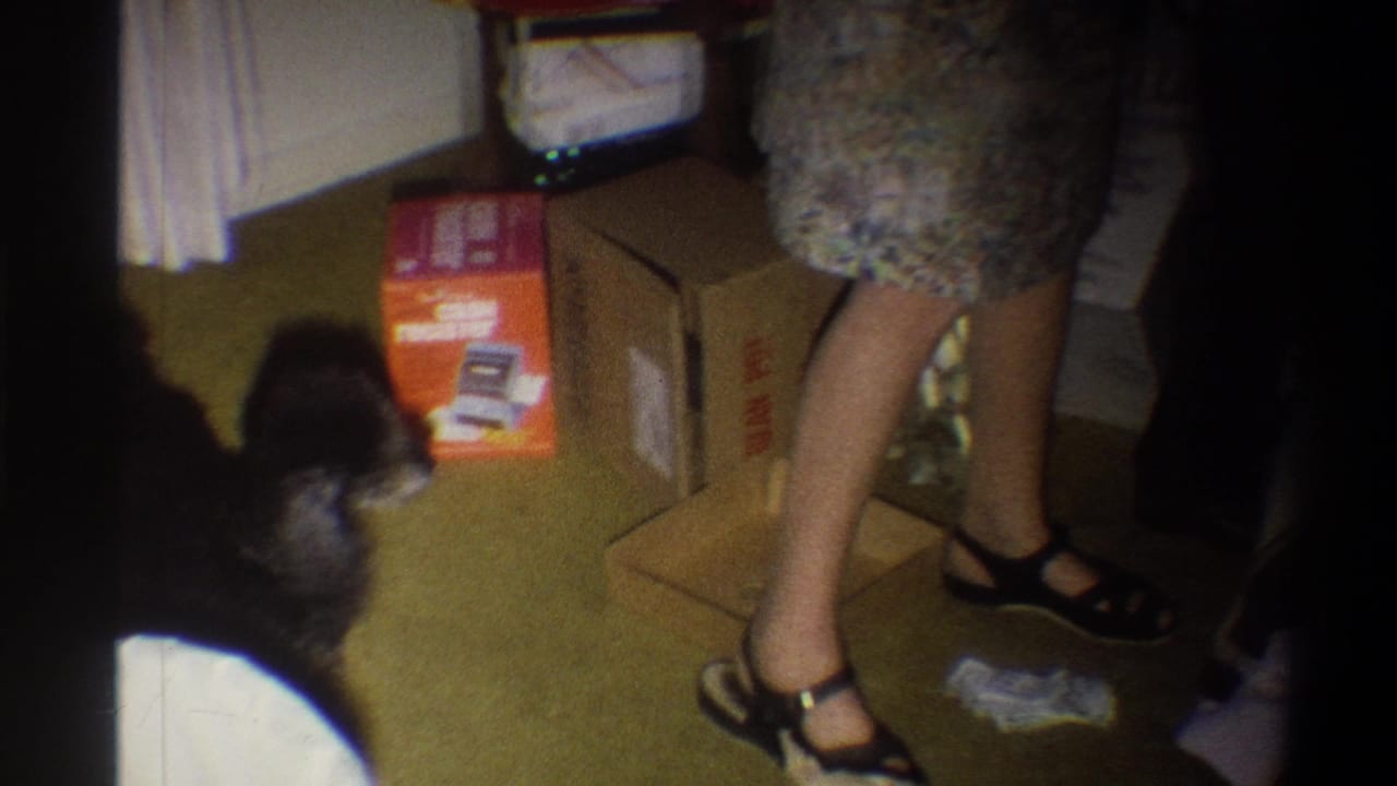 Dog and women’s legs beside cardboard boxes and holiday packaging in a living room.