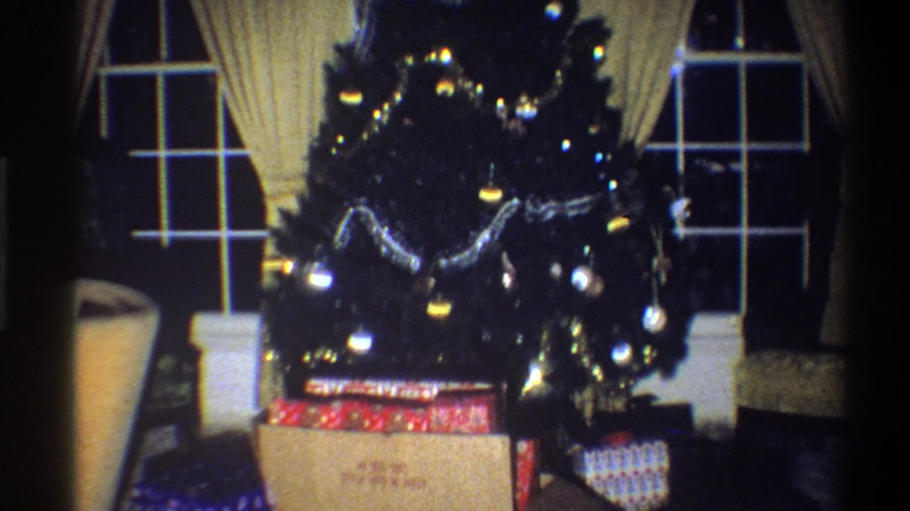 Christmas tree with lights, garland, ornaments, and presents near windows.