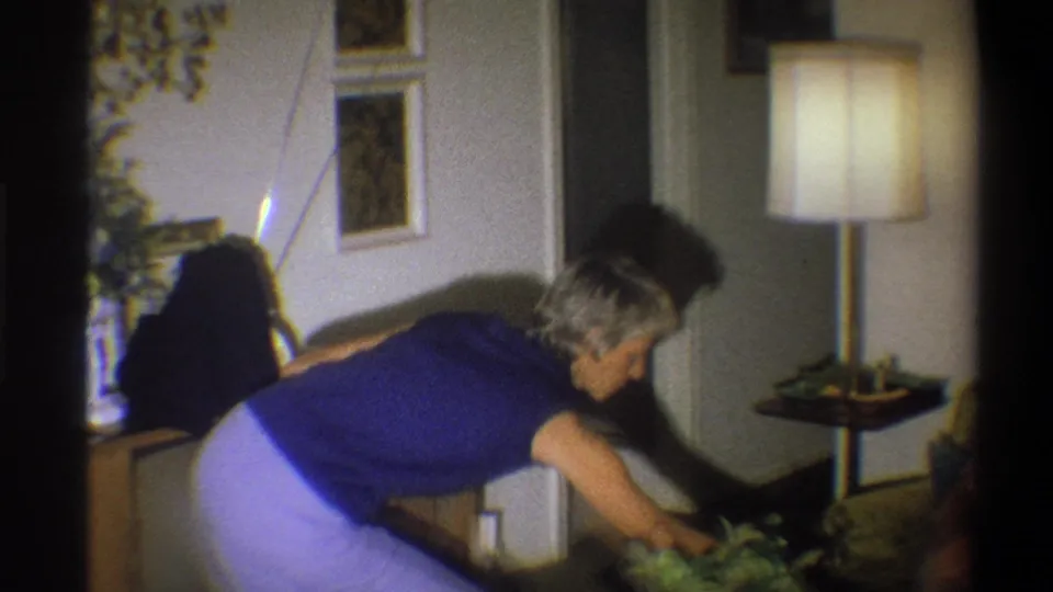 In a 1973 Troy home interior, a woman in a blue sleeveless top tends houseplants near a floor lamp and framed wall art.