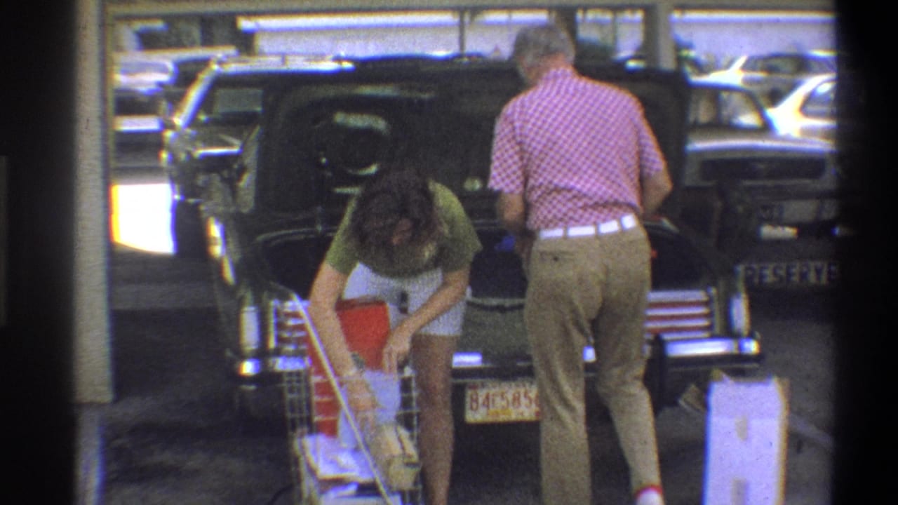 Man in pink checkered shirt and woman in green top, both seen from behind, loading groceries into the open trunk of a dark American sedan in a parking lot.