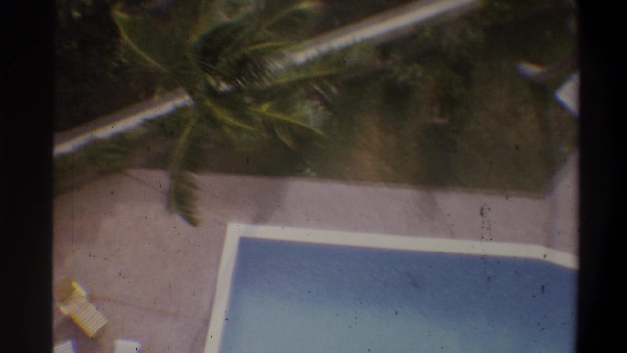 Elevated shot showing a pool corner, yellow lounge chair at the pool edge, and palm fronds in the upper frame.
