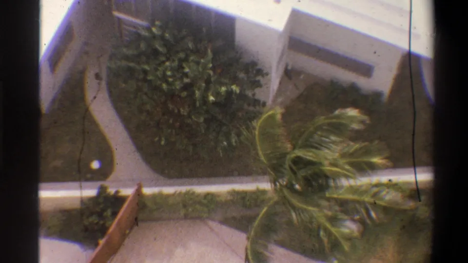 Aerial 8mm home-movie shot of a flat-roofed modernist building, tropical shrubs, and palm trees bending visibly in wind at a vacation property, circa 1973.