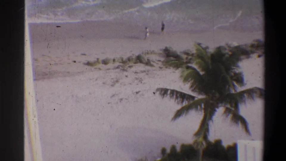 Elevated 8mm home-movie shot of a wide sandy beach with wind-bent palm trees and two small, unidentifiable distant figures near the shoreline, circa 1973.