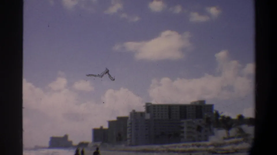 Florida beachfront hotels seen across open sand from a distance, with a probable seabird or emulsion artifact in the foreground sky, circa 1974, 8mm.