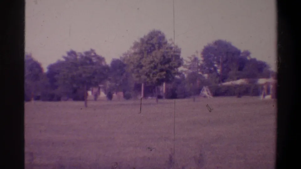 Mid-pan frame of a suburban residential scene in Gainesville, Florida, circa 1974, showing large trees, a glimpsed house, and a utility pole on aged 8mm.