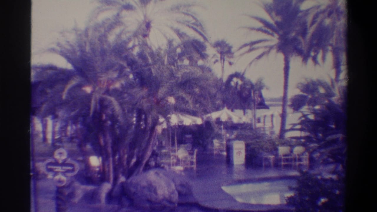 8mm home-movie frame c.1974, Florida resort hotel; pool area surrounded by palm trees, large ornamental rocks, and patio umbrella with heavy purple dye-shift.