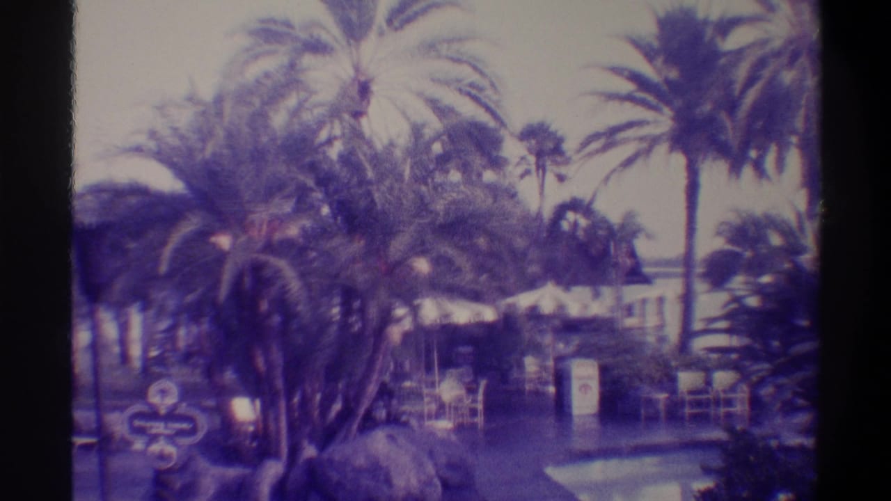 Pan continues across hotel pool courtyard; palm trees, ornamental rocks, white umbrella, and patio seating visible; consistent purple color cast.